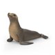 thumbnail image 1 of Figura de juguete Schleich León marino 14933, 1 of 6