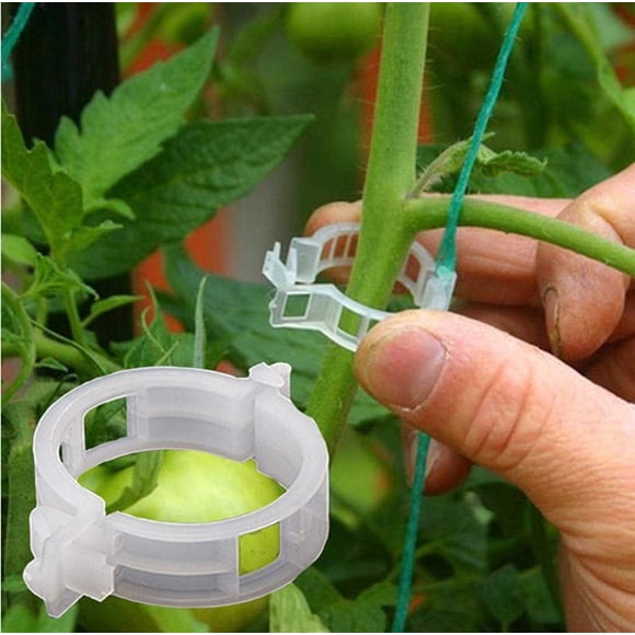 Tomato Clips BLOWING, 150 unidades, para soporte de plantas, jardín y vid.