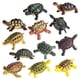 thumbnail image 4 of 12x Figuras De Acción Realistas De Tortugas Marinas, Colección De Juegos De Cumplea?os, 4 of 5