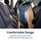 thumbnail image 5 of Arnés para perro Ruffwear Load Up L/XL azul pizarra, 5 of 9
