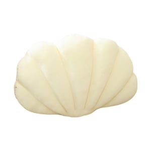 Bothyi - Seashell Pillow Bedroom Stuffed Pillow Floor Cushion Decorative Throw Pillow Milky White