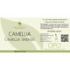 thumbnail image 2 of Carrier Oil OPO Aceite de semillas de camelia 240 ml, puro, sin refinar, 2 of 9
