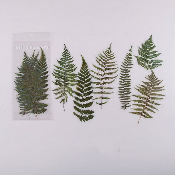 6pcs/pack Flower Shop Series Decorative Stickers - Perfect for Scrapbooking, Labeling, Diary Albums & More!