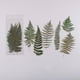thumbnail image 1 of 6pcs/pack Flower Shop Series Decorative Stickers - Perfect for Scrapbooking, Labeling, Diary Albums & More!, 1 of 5