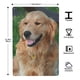 thumbnail image 3 of Cartel de Metal Decorativo Golden Retriever Desmarcar 30x20 cm, 3 of 6
