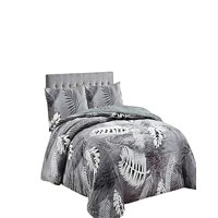 Genérico - Set Cobertor De Invierno Plush 2 Plazas 230X250Cm Gris Claro