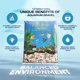 thumbnail image 5 of Grava para Acuario Pure Water Pebbles Mezcla Personalizada 2.27 kg, 5 of 7