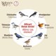 thumbnail image 5 of Comedero para aves NATURE'S WAY CWF2 Cedro negro, 5 of 9
