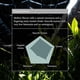 thumbnail image 4 of Té verde matcha en polvo Naoki Matcha Chiran Harvest 40 g, 4 of 6