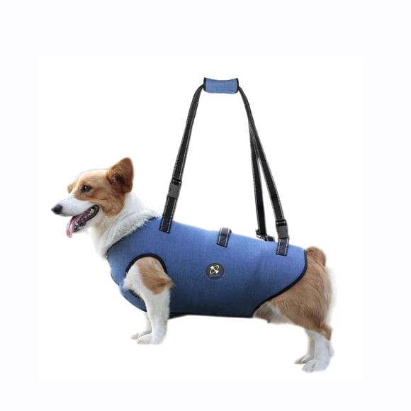 Arnés para levantamiento de perros Coodeo Support Rehabilitation Sling Blue M