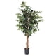 thumbnail image 1 of Ficus 120 Cm, 1 of 3