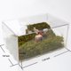 thumbnail image 5 of VIVARIUM Jinymral Kit para Caracoles 28,5 × 20 × 15 cm con Pared de Escalada, 5 of 5
