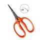 thumbnail image 2 of Tijeras de Jardín 近正 B500SLF Acero Inoxidable 15.5 cm, 2 of 3