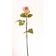 thumbnail image 1 of Boton Rosa Rosado 51 Cm, 1 of 1
