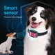 thumbnail image 3 of Collar de adiestramiento para perros DogRook, recargable, sin golpes, que no ladra, 3 of 7