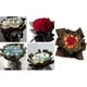 thumbnail image 5 of 20 hojas de papel de regalo de flores con borde dorado, impermeable, translúcido, ideal para ramos de floristería, bodas, manualidades, regalos, papel de regalo de flores esmerilado, 58 x 58 cm., 5 of 5