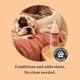 thumbnail image 3 of Spray Desodorante Para Perros Mrs. Meyers Durazno Blanco 266ml, 3 of 3