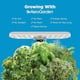 thumbnail image 3 of Huerto Hidropanico AeroGarden Harvest Lite Crema 6 Plantas LED, 3 of 3