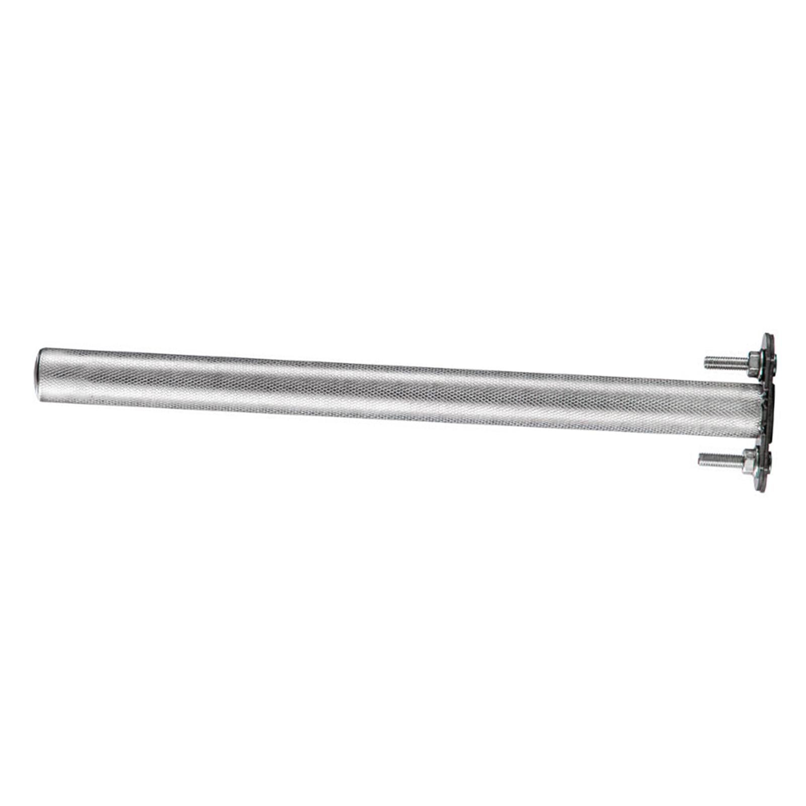 Ioensy - Pájaro Percha Acero Inoxidable Loro Juguetes Garras Molienda Varilla Plataforma Portátil 15cm