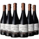 thumbnail image 1 of 6 Vinos Syrah, 750 ml, 14.5%, 1 of 3