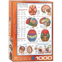 Puzzle Eurographics: Cuerpo Humano Y Cerebro (1000 Piezas)