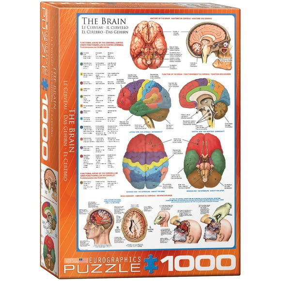 Puzzle EuroGraphics: Cuerpo humano y cerebro (1000 piezas)
