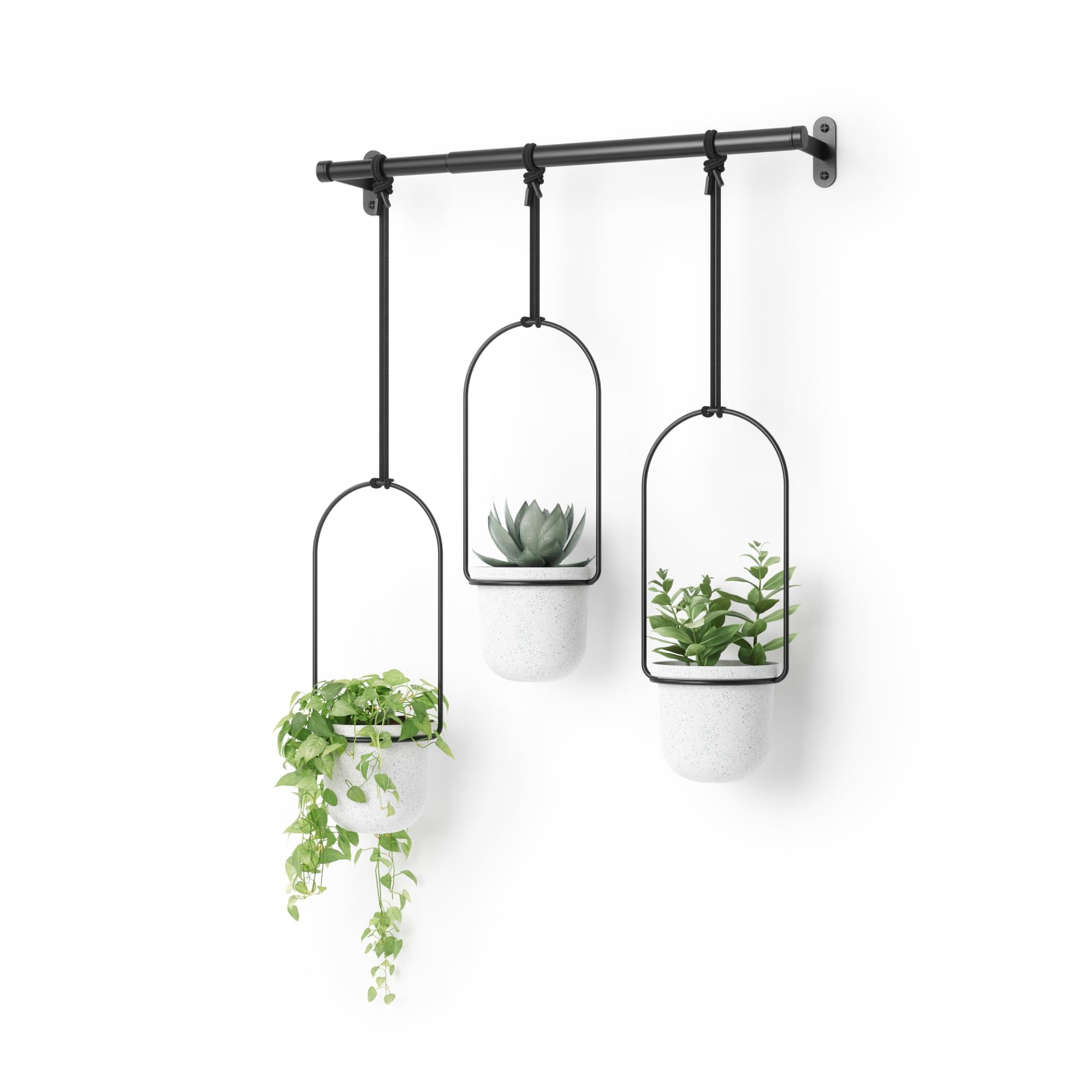 Maceta Colgante Umbra Triflora Para Ventana, Interior Y Jardín De Hierbas