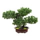 thumbnail image 2 of Plantas Artificiales De La Casa Del árbol De Pino De La Decoración De Los Bonsais Para La Mesa Del Comedor Estilo Duradero D, 2 of 3