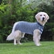 thumbnail image 3 of Traje de recuperación para perros, monos para gatos para heridas abdominales, camiseta de recuperación para mascotas macho y hembra, traje quirúrgico cómodo después de la cirugía, monos antilamidos pa, 3 of 8