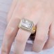 thumbnail image 4 of Anillos de Lujo de Moda para Hombre con Estilo Punk de Rapero, Chapados en Oro de 14K, Brillantes, Grandes, con Hielo, Hip Hop, Circonia Cúbica, Anillos para Hombre, 4 of 5