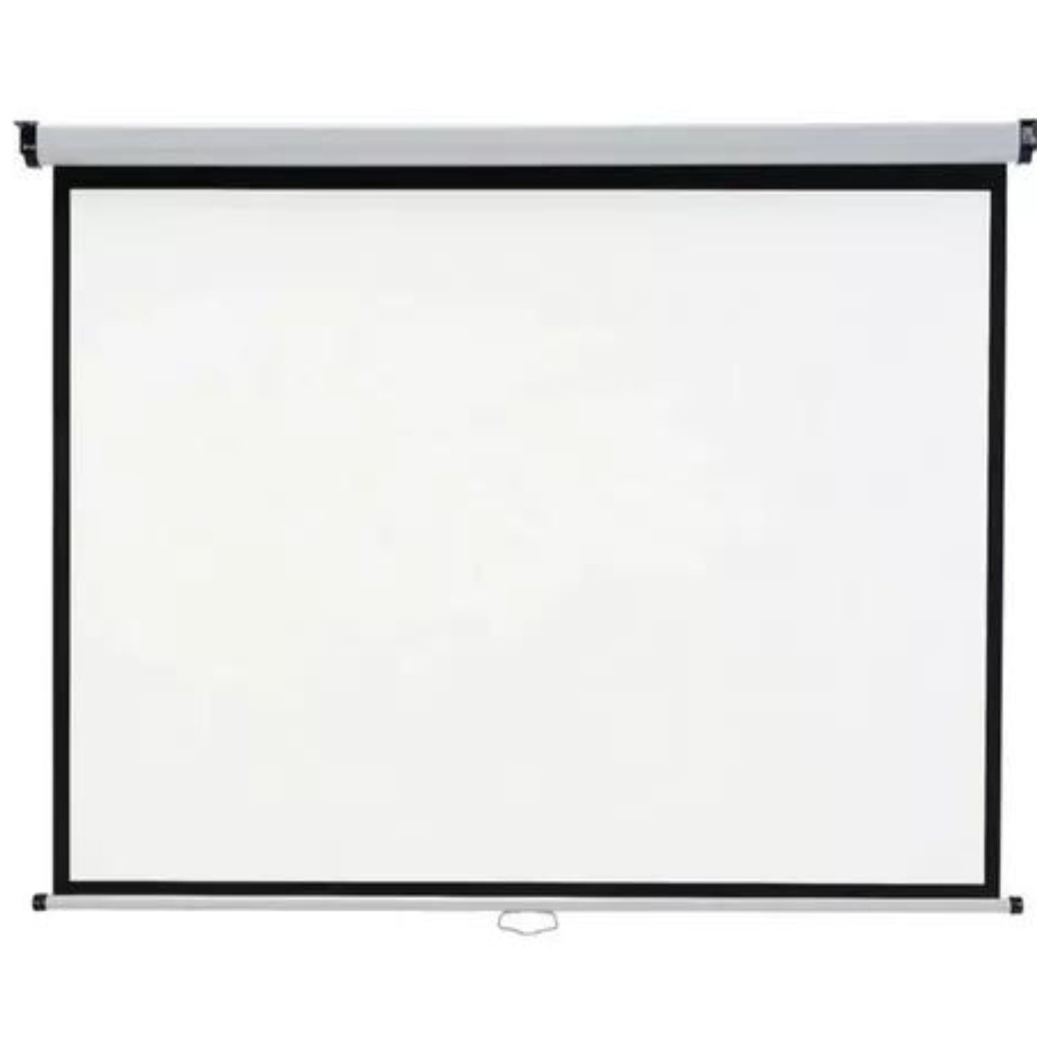 Leon Import - Telon Mural De 203 X 152 Cm/79,9 X 59,8 Pulgadas