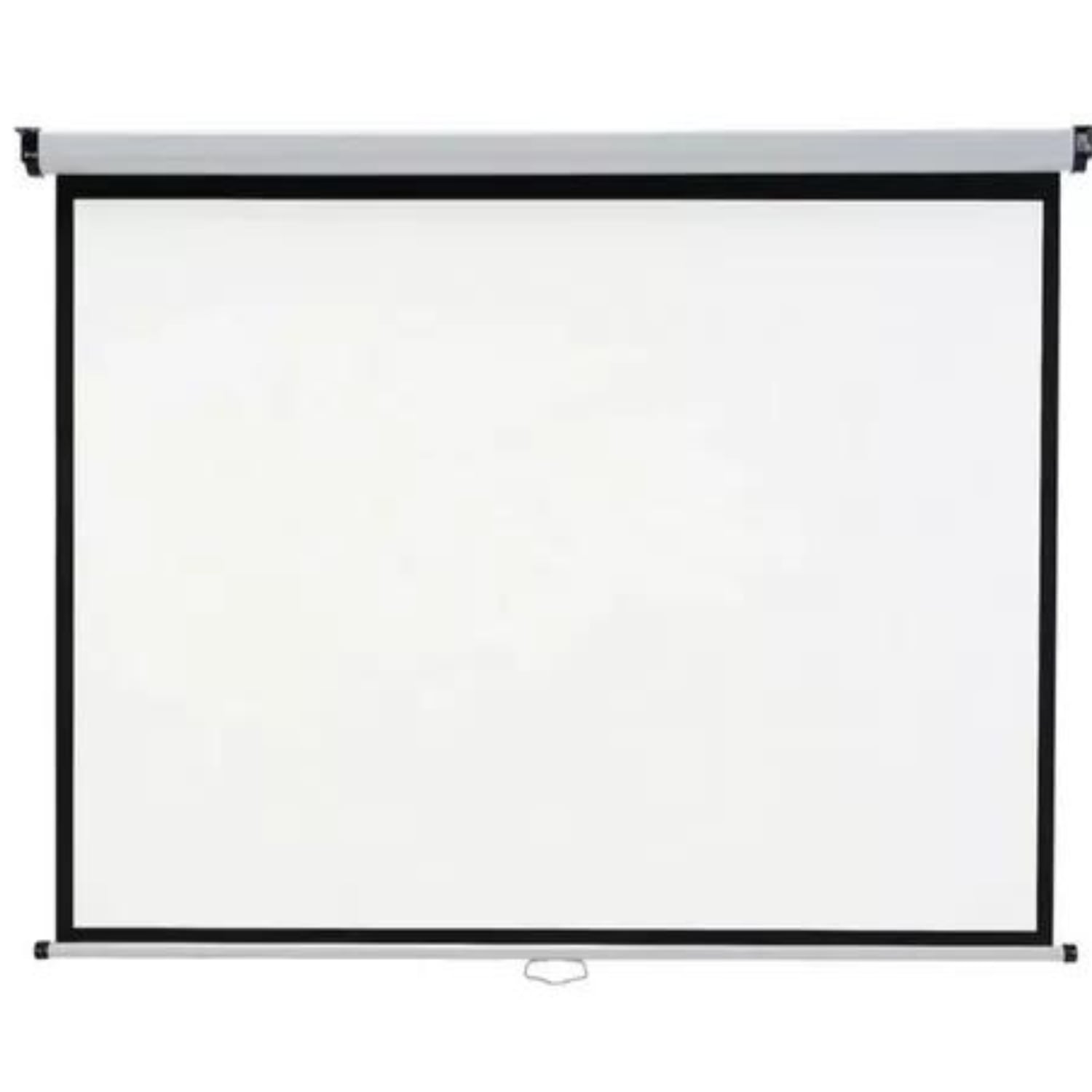 Leon Import - Telon Mural De 203 X 152 Cm/79,9 X 59,8 Pulgadas