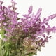 thumbnail image 2 of Vara lavanda 36cm, 2 of 3