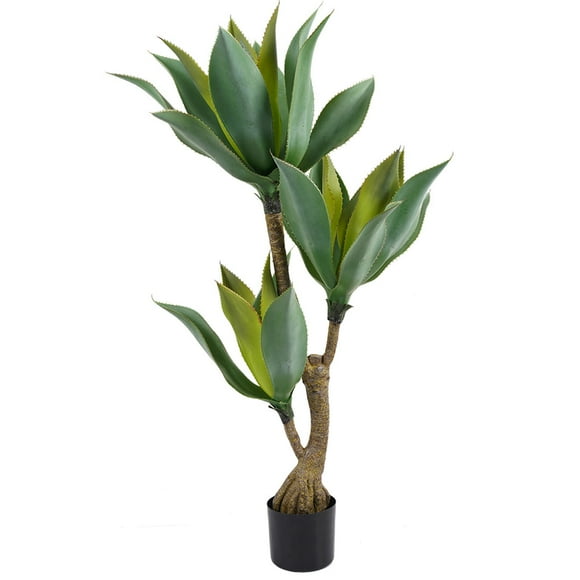 Agave 116 Cm