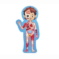 Hape - Rompecabezas Del Cuerpo Humano