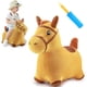thumbnail image 1 of Caballo Saltarín Inflable Grande Peluche, 1 of 3