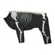thumbnail image 4 of Disfraz De Perro Esqueleto De Halloween Disfraz De Mascota Para Cachorro Gatito Festival Vacaciones 3XL, 4 of 5