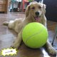 thumbnail image 1 of Pelota de tenis Banfeng Giant para perros pequeños, medianos y grandes, 9.5 pulgadas, 1 of 6