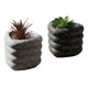 thumbnail image 1 of Set 2 Planta Artificial Decorativa Corazón Estilo Piedra Jhn, 1 of 3