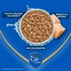 thumbnail image 4 of Pouch Cat Chow Gatito - Pollo 15un x 85gr, 4 of 8