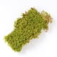 thumbnail image 3 of Lámina Mosser Lee ML0460 Mosser, color verde natural, 0,21 m², 3 of 7