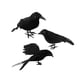 thumbnail image 1 of 3 Piezas De Cuervos De Halloween, Pájaros, Cuervos De Plumas De Simulación Negra Para Fiesta De Halloween, Estilo B, 1 of 5