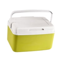 Magideal - Nevera Portátil Para Coche, Portabebidas Personal, Nevera Portátil Con Conservación De Frío Y Calor, Pequeña Y Rígida, Para Fiestas En Barco O Barbaco 6 Litros