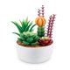 thumbnail image 4 of Cápsula Create Garden de Mini Brands (paquete de 2) de ZURU, 4 of 8