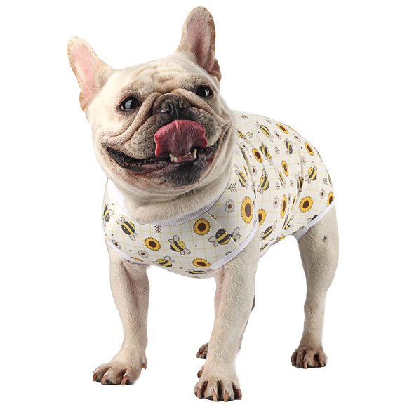 Traje de recuperación postoperatoria para perros Due Felice para perros hembra y macho