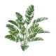 thumbnail image 5 of Grandes Plantas Falsas Exteriores Hoja De Plátano Simulada Para Baño Chimenea De Playa 18 Cabezas Estilo H, 5 of 5
