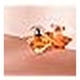 thumbnail image 3 of Perfume Lancame Trasor Eau de Parfum 30ml Larga Duración, 3 of 3