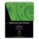 thumbnail image 3 of 18 bolsitas de té de menta verde orgánica de Tea Buddha Teas, 3 of 5