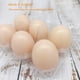 thumbnail image 5 of Cartones para huevos BULKBUY de plástico transparente ecológico, 60 paquetes, 5 of 7