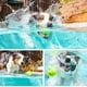 thumbnail image 3 of Pelotas de tenis Hyper Pet de 2,5 cm para perros, paquete de 12 para hacer ejercicio, 3 of 8